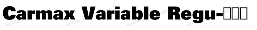 Carmax Variable Regu字体转换